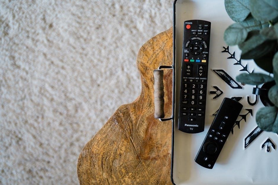 panasonic viera tv user guide