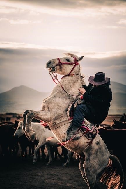 western wear guide